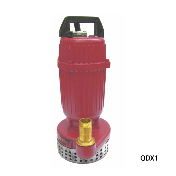 QDX2